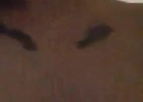 Blowstar_xxx