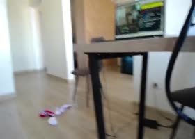 Asstastic_