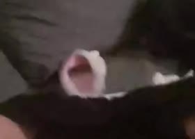 Jesscoquine