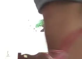 Gatoza
