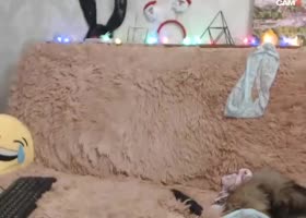 Missbelaris