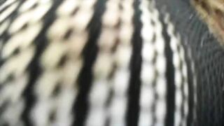 Your_poison_girl 2021-11-19 16:45