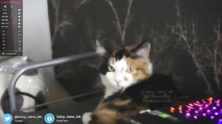 Juicy_jane_uk 2022-11-24 23:37