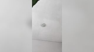 Inthetoilet 2023-03-19 14:45