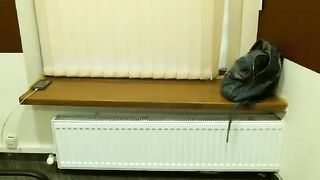 Sweetmargo girl slowly takes off her bra and shows panties 2019-07-27