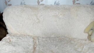 Little flower 2019-08-15 09:55
