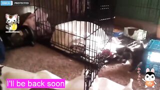 W33nam0m0 depraved brunette jerks off her vagina on the floor 2019-05-19