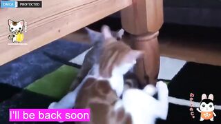 W33nam0m0 depraved brunette jerks off her vagina on the floor 2019-05-19