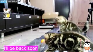 W33nam0m0 depraved brunette jerks off her vagina on the floor 2019-05-19