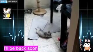 W33nam0m0 depraved brunette jerks off her vagina on the floor 2019-05-19