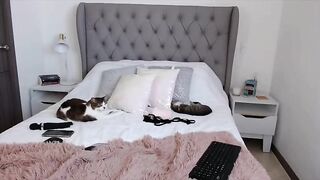 Avrilsaenz long-haired brunette with round tits inserts toys into both her holes at once 2020-01-31