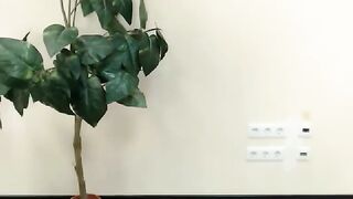 Angelapop cutie slowly strips off and shows her round tits 2019-09-20
