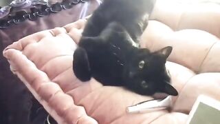 Savrose 2019-07-18 12:00